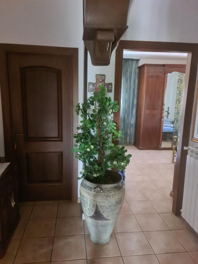 מלון Corfinio Novadomus מראה חיצוני תמונה